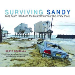 Surviving Sandy - Books & Cards